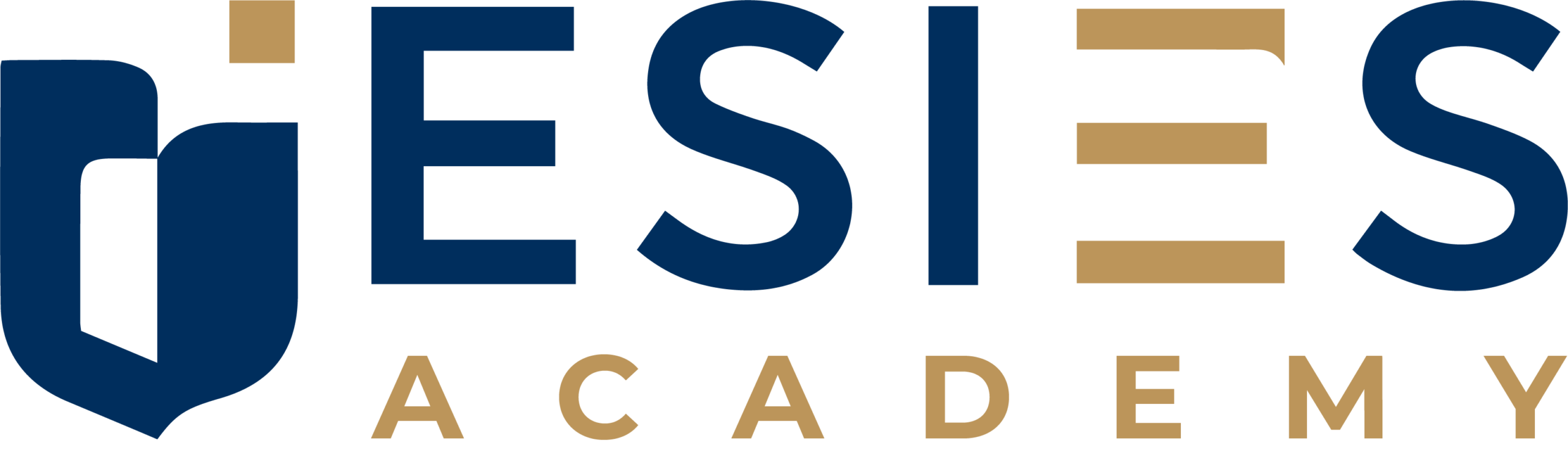ESIES ACADEMY LOGO 1